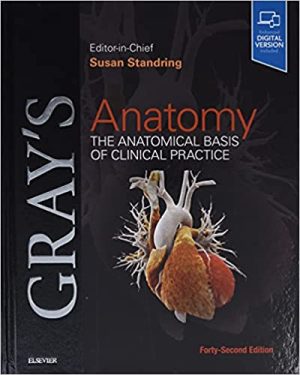 Grays Anatomy The Anatomical Basis of Clinical Practice 42nd Edition