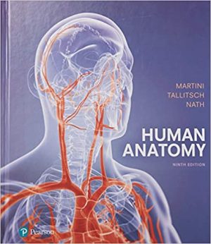 Human Anatomy 9th Edition By Frederic H Martini
