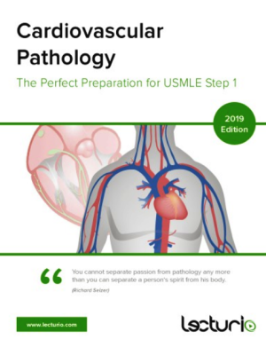 Cardiovascular Pathology The Perfect Preparation for USMLE Step 1