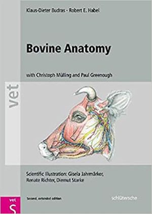 Bovine Anatomy 2nd Edition