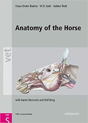 Anatomy of the Horse 5th Edition