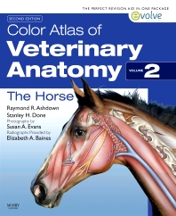 Color Atlas of Veterinary Anatomy Volume 2 The Horse 2nd Edition