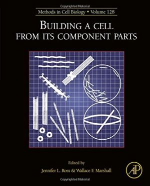 Building a cell from its component parts